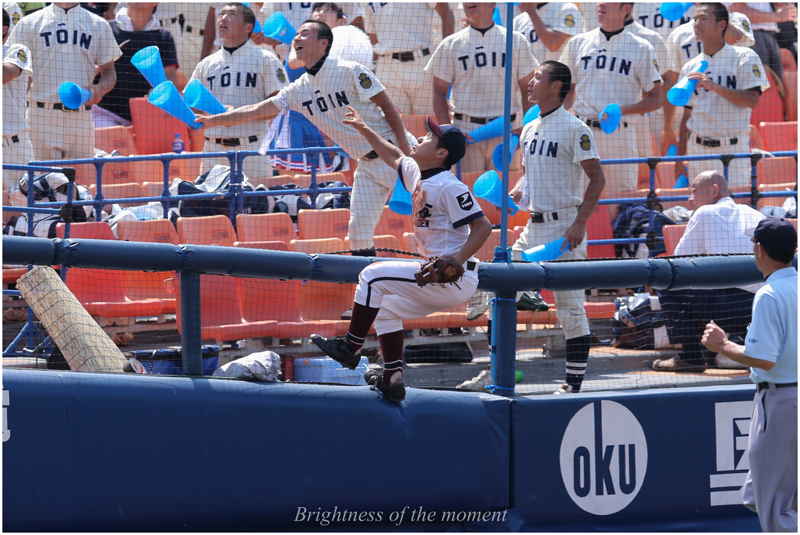 第９４回全国高等学校野球選手権神奈川大会_e0200922_23573536.jpg