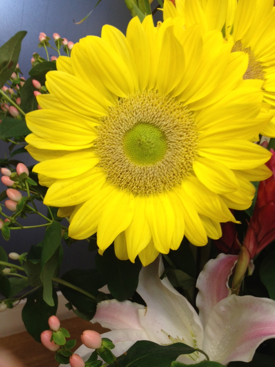 今週のお花とセール情報_a0200423_2020427.jpg