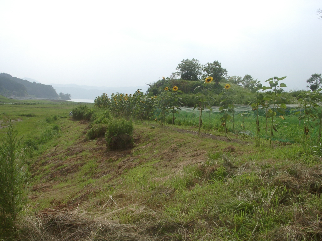d0007735_14475246.jpg