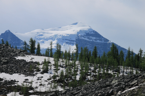 d0055236_14221469.jpg