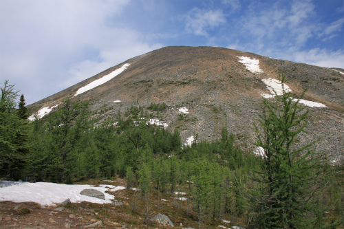 d0055236_14243531.jpg