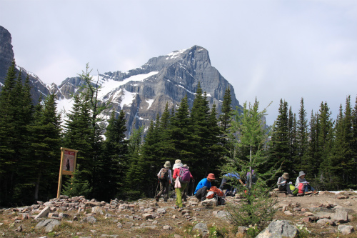 d0055236_14251232.jpg