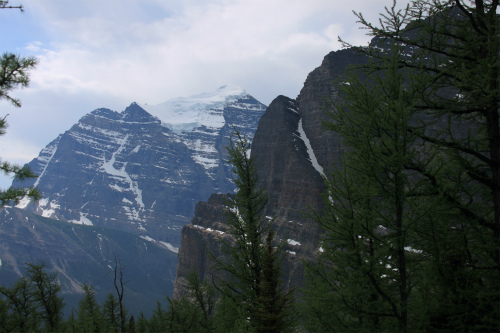 d0055236_142676.jpg