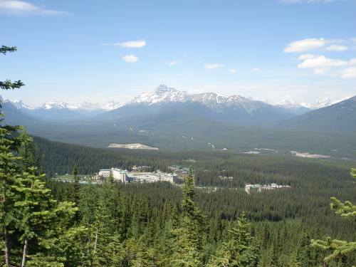 d0055236_14543923.jpg