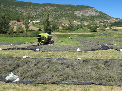 d0167041_08217.jpg
