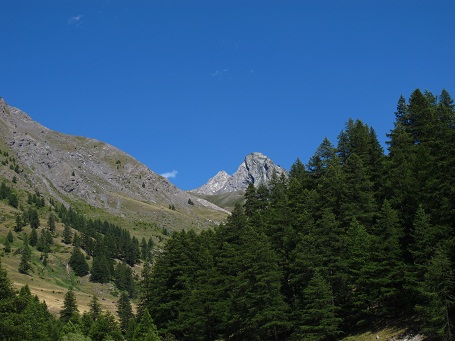 d0167041_40582.jpg