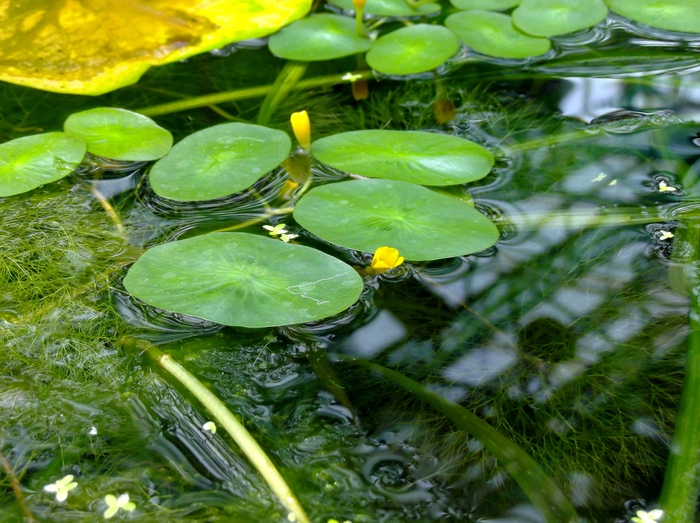 水生博物館_d0102949_11272571.jpg