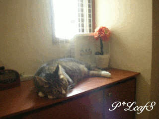 c0176651_9221852.gif