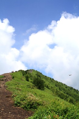 a0258954_0393896.jpg