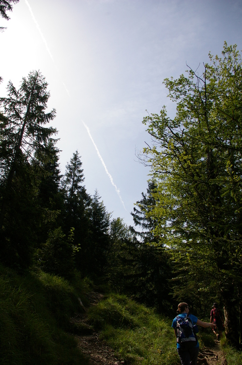 b0175255_54645.jpg