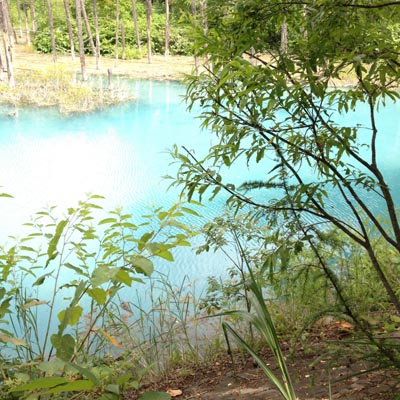 e0040957_0322570.jpg