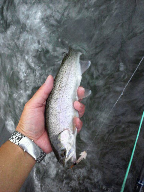 c0240462_10551396.jpg