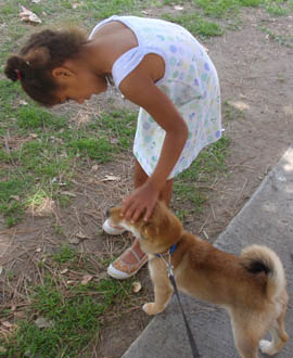 c0006164_1541456.jpg