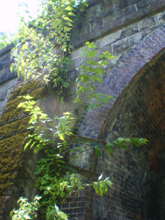 b0056570_23222070.jpg