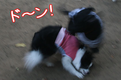 c0161772_17545528.jpg