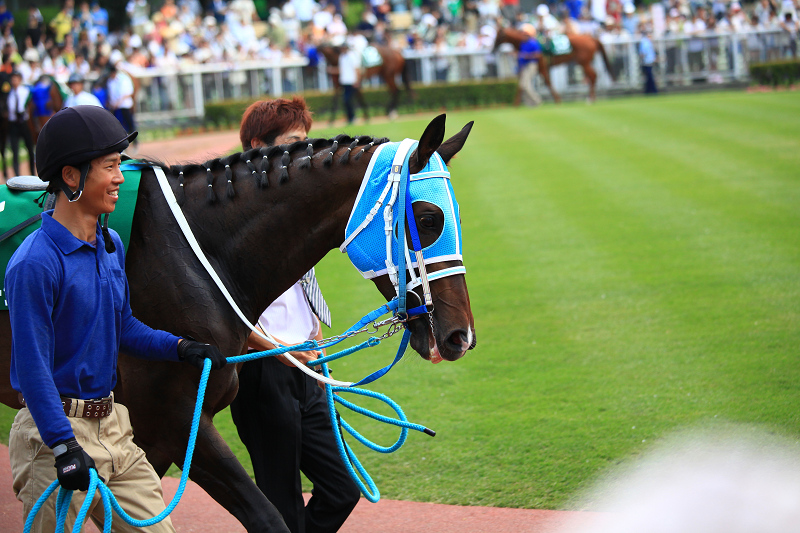 札幌競馬場　盛夏　ジリジリ　暑い　ポッポちゃんの愛称の彼女_a0160581_17343650.jpg