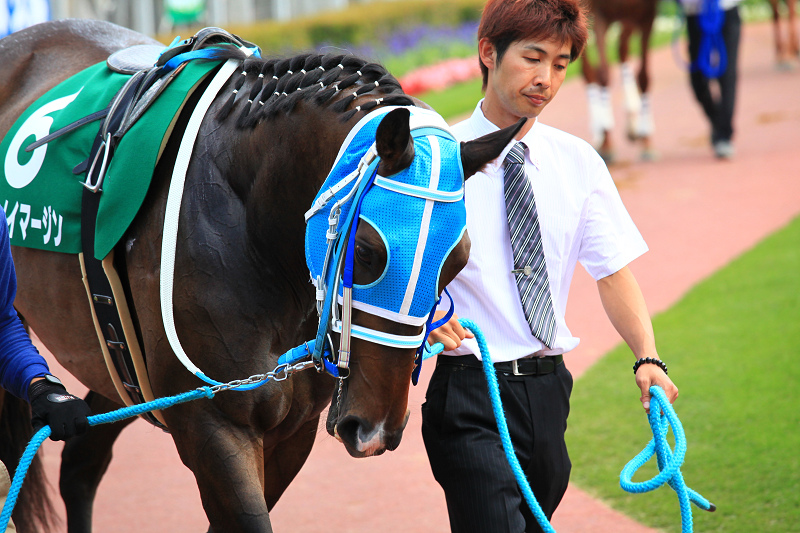 札幌競馬場　盛夏　ジリジリ　暑い　ポッポちゃんの愛称の彼女_a0160581_17363145.jpg