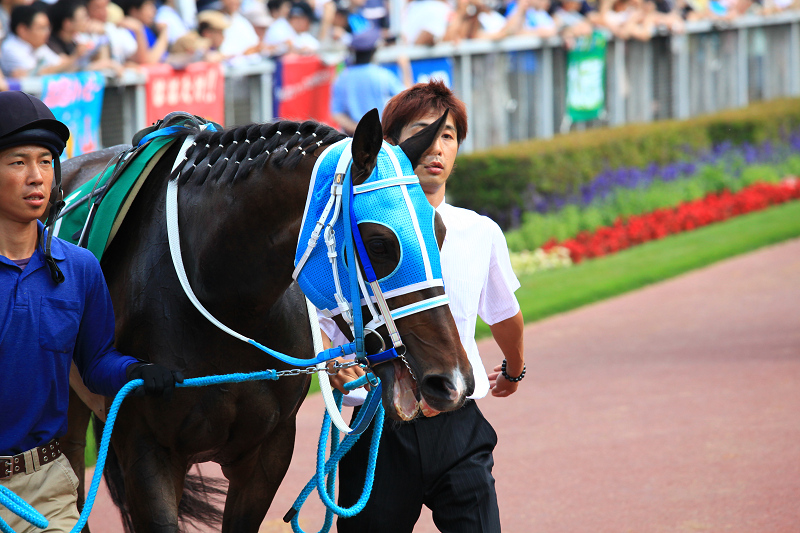 札幌競馬場　盛夏　ジリジリ　暑い　ポッポちゃんの愛称の彼女_a0160581_1736417.jpg