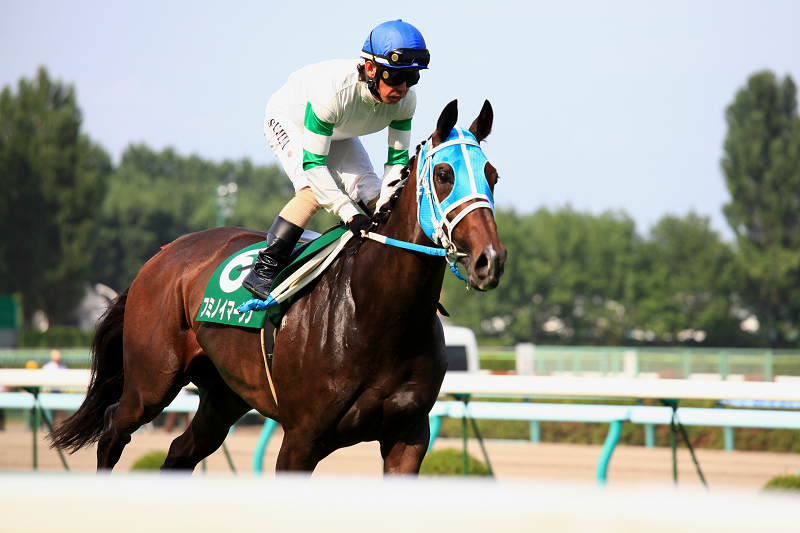 札幌競馬場　盛夏　ジリジリ　暑い　ポッポちゃんの愛称の彼女_a0160581_17373362.jpg