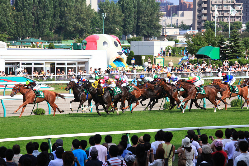 札幌競馬場　盛夏　ジリジリ　暑い　ポッポちゃんの愛称の彼女_a0160581_1792037.jpg