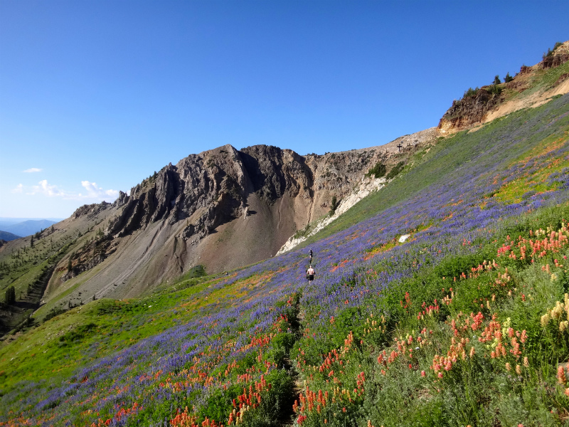 USA BEST HARDEST 50km MOUNTAIN RUNNING RACE Speedgoat50K 2012/07/28 _b0220886_3383325.jpg