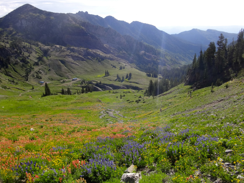 USA BEST HARDEST 50km MOUNTAIN RUNNING RACE Speedgoat50K 2012/07/28 _b0220886_3431529.jpg