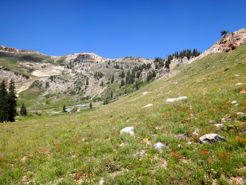 USA BEST HARDEST 50km MOUNTAIN RUNNING RACE Speedgoat50K 2012/07/28 _b0220886_4135757.jpg