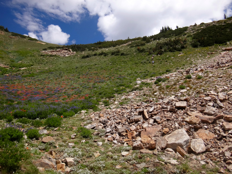 USA BEST HARDEST 50km MOUNTAIN RUNNING RACE Speedgoat50K 2012/07/28 _b0220886_4151180.jpg