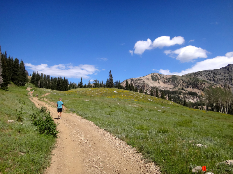 USA BEST HARDEST 50km MOUNTAIN RUNNING RACE Speedgoat50K 2012/07/28 _b0220886_4171.jpg