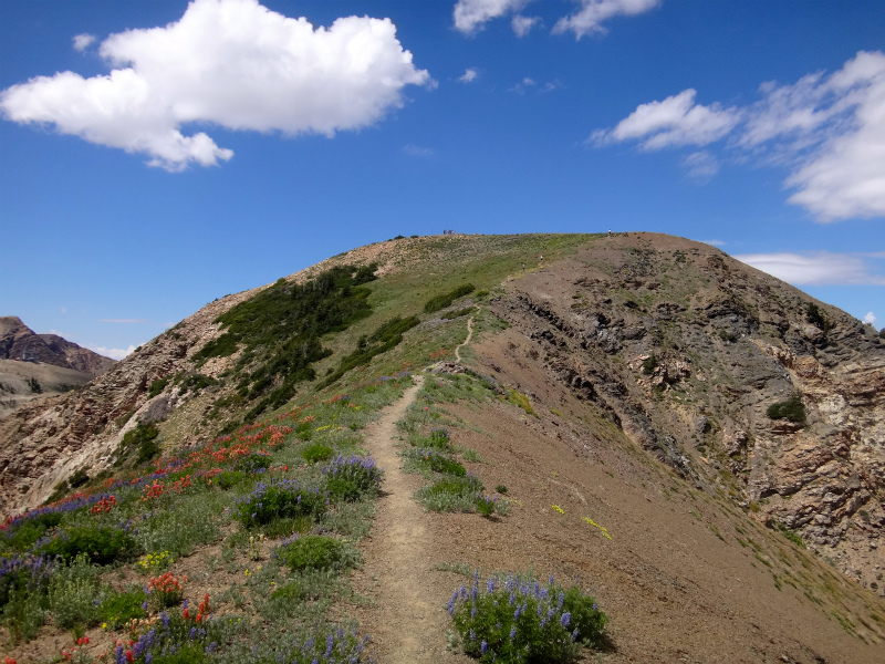 USA BEST HARDEST 50km MOUNTAIN RUNNING RACE Speedgoat50K 2012/07/28 _b0220886_4173375.jpg