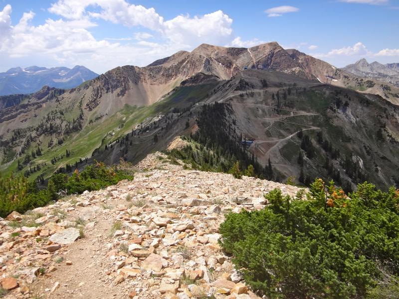 USA BEST HARDEST 50km MOUNTAIN RUNNING RACE Speedgoat50K 2012/07/28 _b0220886_4181124.jpg