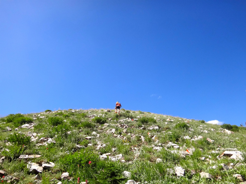 USA BEST HARDEST 50km MOUNTAIN RUNNING RACE Speedgoat50K 2012/07/28 _b0220886_454622.jpg