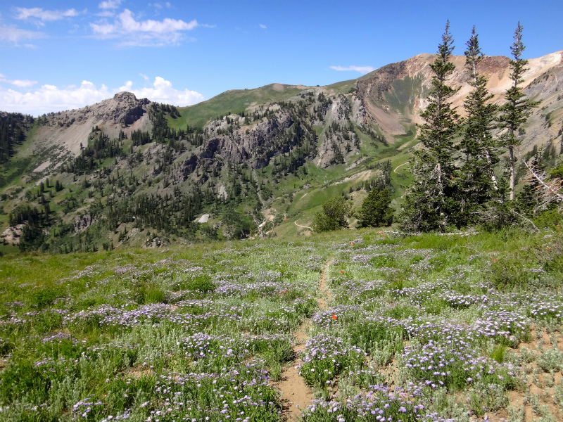 USA BEST HARDEST 50km MOUNTAIN RUNNING RACE Speedgoat50K 2012/07/28 _b0220886_463635.jpg