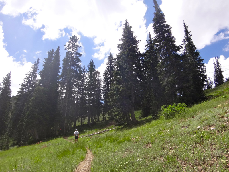 USA BEST HARDEST 50km MOUNTAIN RUNNING RACE Speedgoat50K 2012/07/28 _b0220886_7451078.jpg