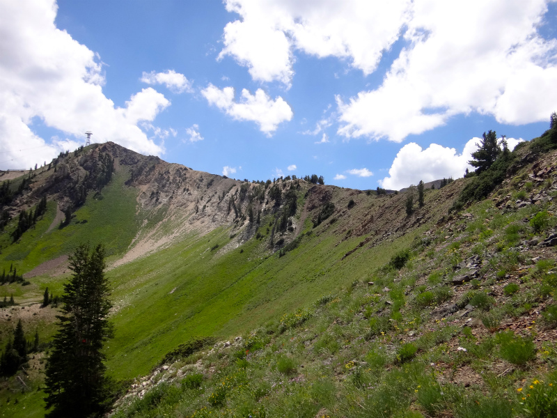 USA BEST HARDEST 50km MOUNTAIN RUNNING RACE Speedgoat50K 2012/07/28 _b0220886_745361.jpg