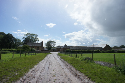 UK とりっぷ　素敵なFarm Stay Part5 _e0181286_13191930.jpg