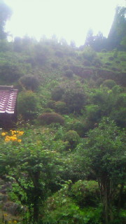 e0161791_18271990.jpg