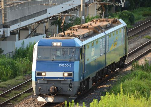 TX甲種②・長野工臨・75ﾚ EF81-95・中央本線115系_c0238996_20464637.jpg