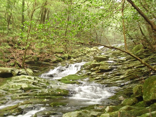 f0187402_2050489.jpg