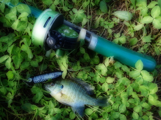 c0023804_19511472.jpg