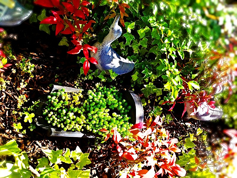 e0241504_11552168.jpg