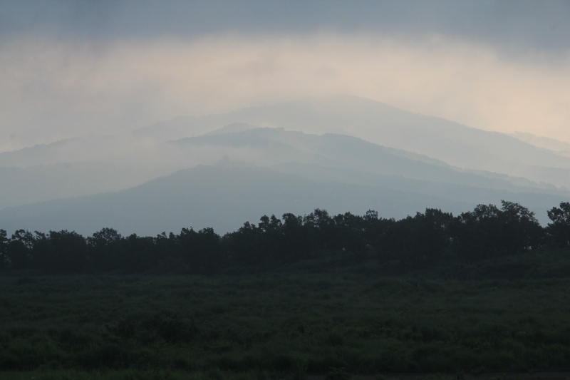 a0188405_8281332.jpg