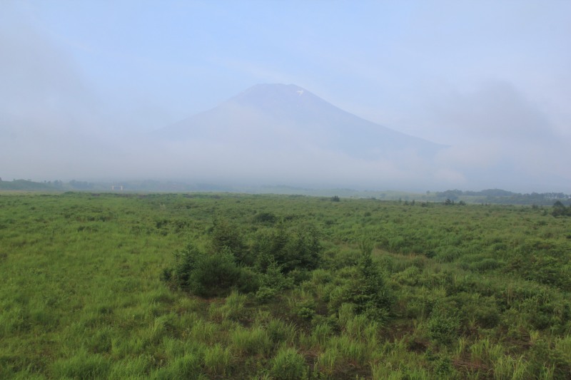 a0188405_8292698.jpg