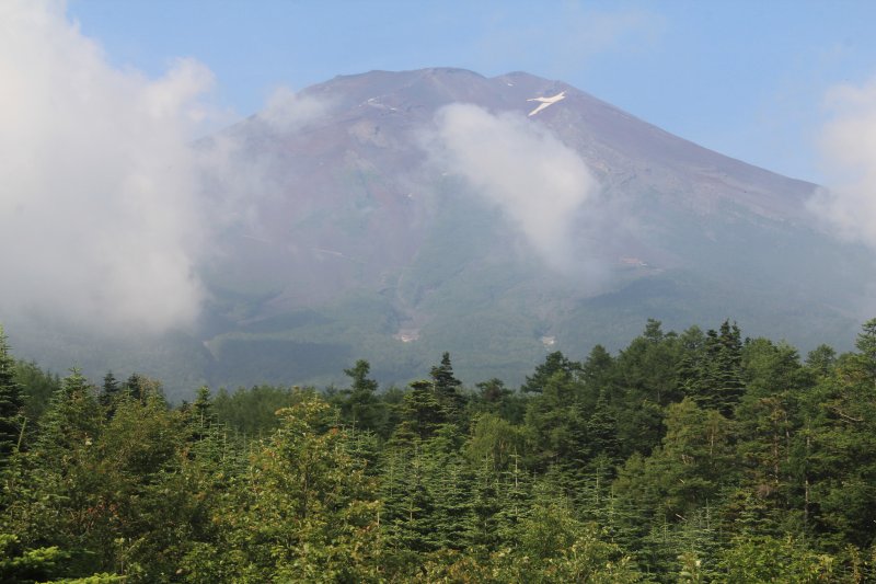 a0188405_8352523.jpg