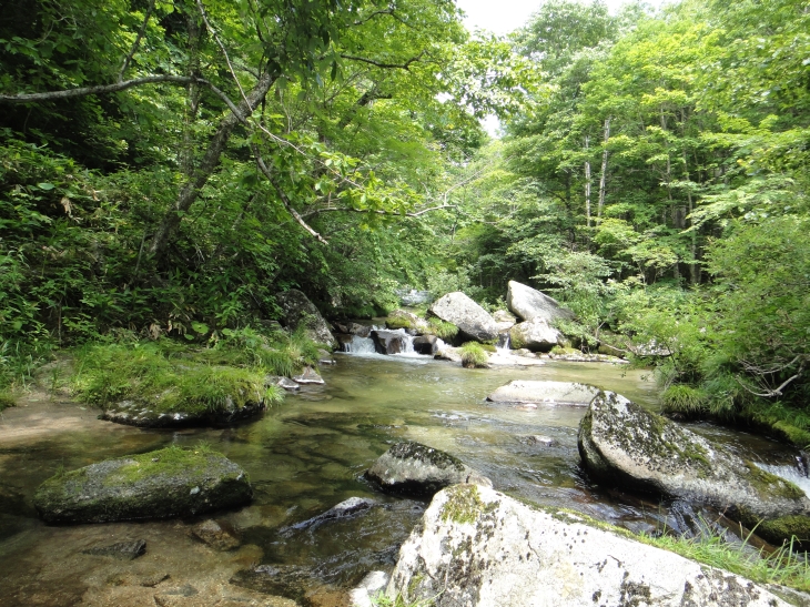 b0172805_9561243.jpg