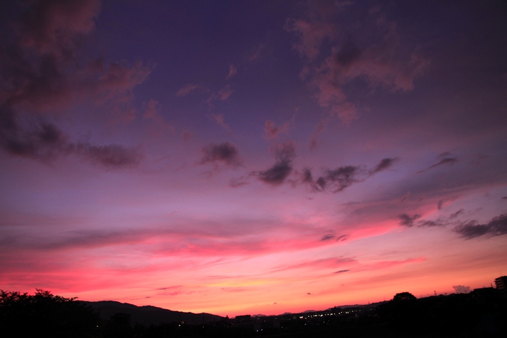 a0097006_20221329.jpg