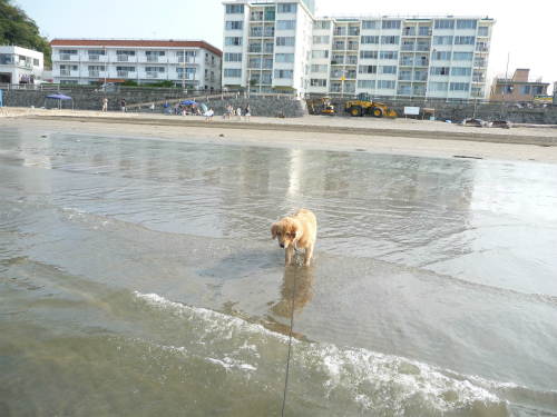 男と女　情熱の海水浴_e0072606_14263440.jpg