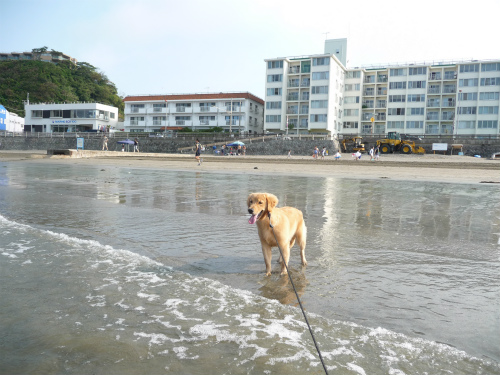 男と女　情熱の海水浴_e0072606_14273653.jpg