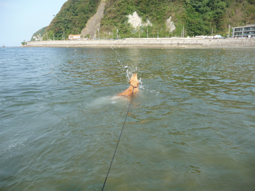 男と女　情熱の海水浴_e0072606_14382134.jpg