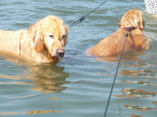 男と女　情熱の海水浴_e0072606_144125100.jpg